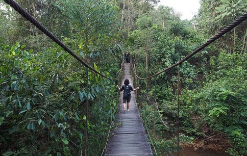 Taman Nasional Kutai