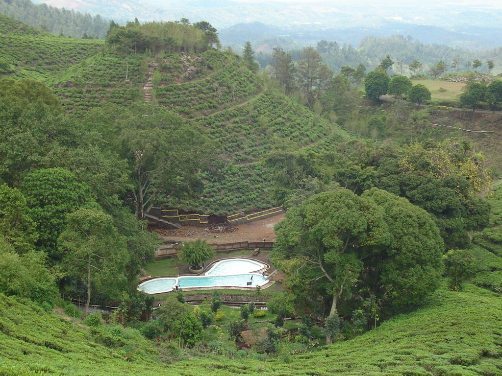 Kebun Teh Jamus, Wisata Alam Primadonanya Kabupaten Ngawi - Gunung